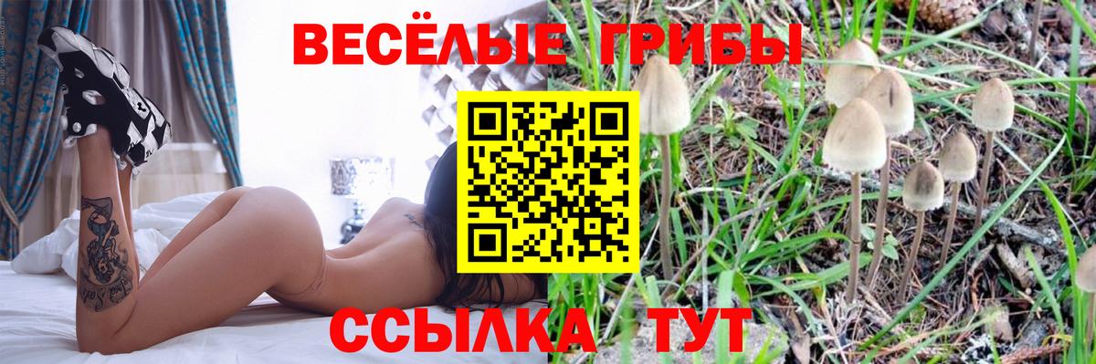 Псилоцибиновые грибы MAGIC MUSHROOMS Выкса