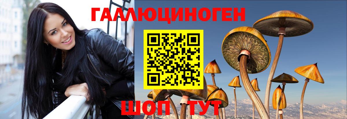 Галлюциногенные грибы Psilocybe  Псилоцибиновые грибы Magic Shrooms  Выкса  Вход с VPN 
